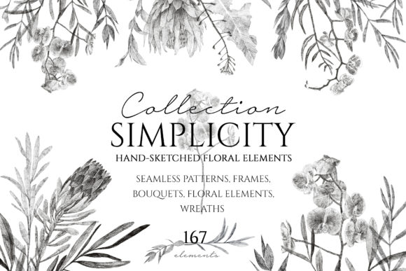 Exploring the Simplicity Hand Sketched Collection